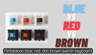 perbedaan blue switch dan red switch